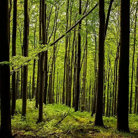 124 Sauna Komfortowy Himalaje Bystra (Bielsko)