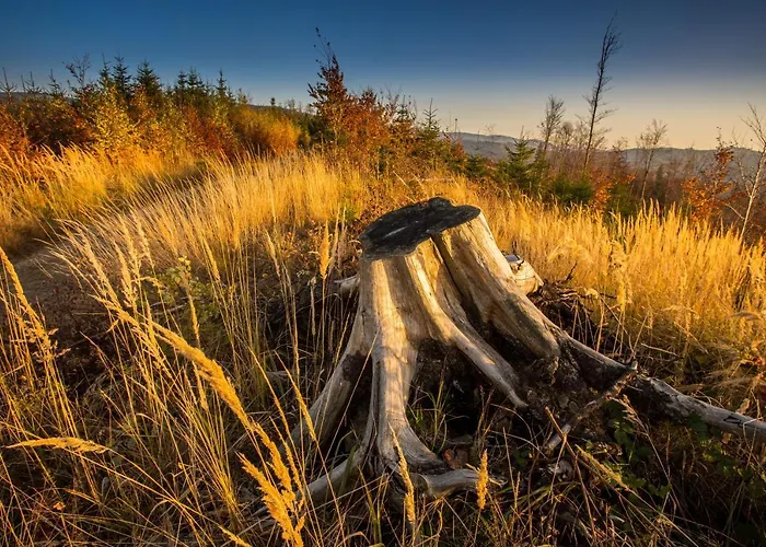 124 Sauna Komfortowy Himalaje * Bystra (Bielsko)