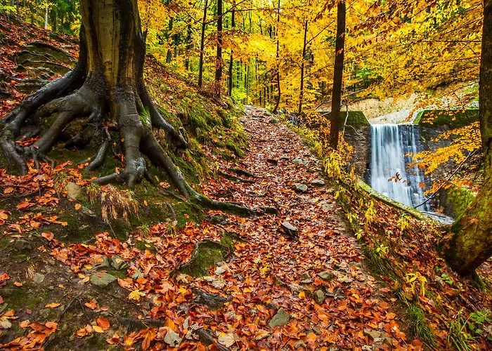 124 Sauna Komfortowy Himalaje *