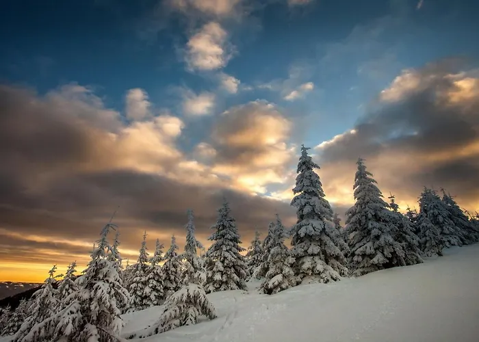 124 Sauna Komfortowy Himalaje 公寓 *