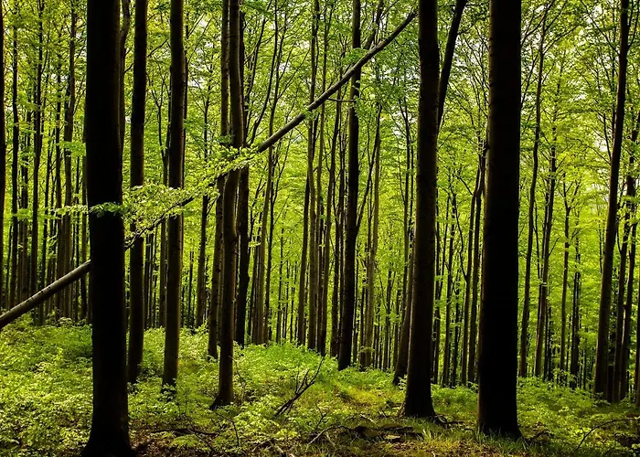 124 Sauna Komfortowy Himalaje Bystra (Bielsko)