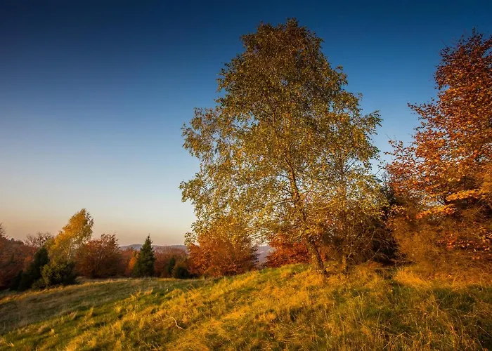 公寓 124 Sauna Komfortowy Himalaje Bystra (Bielsko)