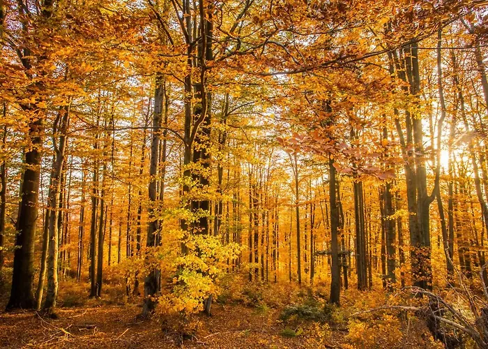 124 Sauna Komfortowy Himalaje Bystra (Bielsko)